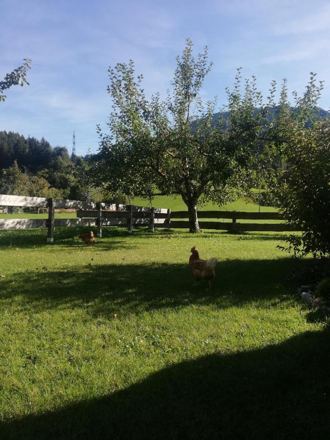 Haus Schreder Διαμέρισμα Saalfelden Εξωτερικό φωτογραφία