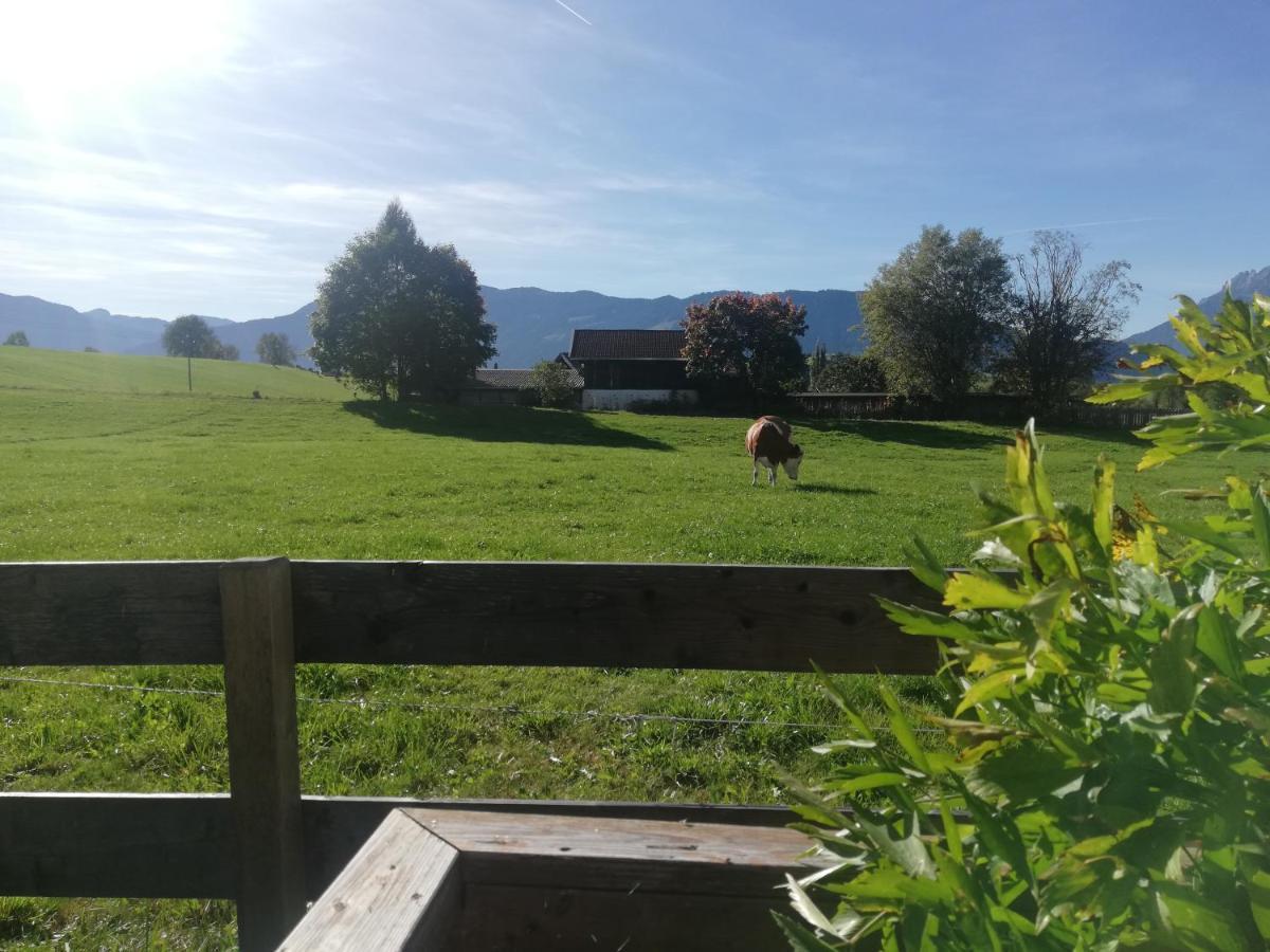 Haus Schreder Διαμέρισμα Saalfelden Εξωτερικό φωτογραφία