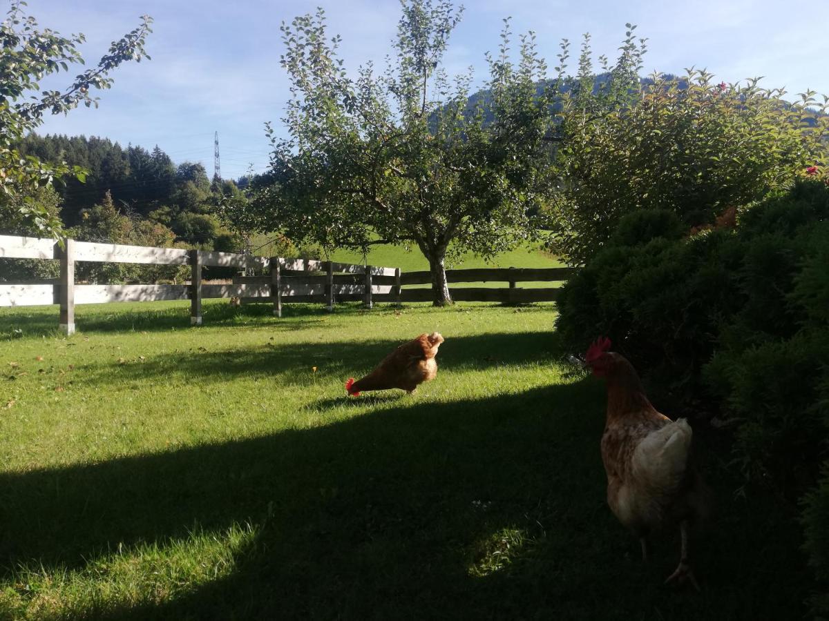 Haus Schreder Διαμέρισμα Saalfelden Εξωτερικό φωτογραφία