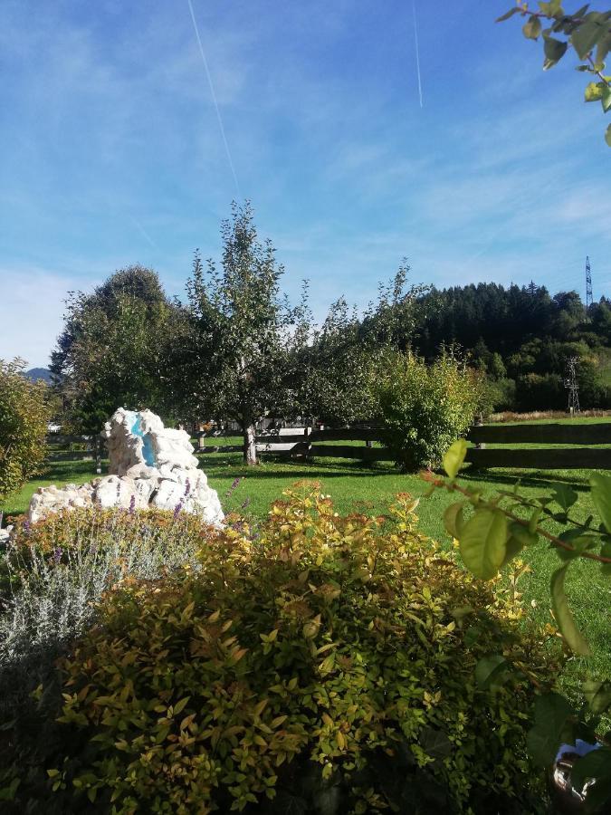 Haus Schreder Διαμέρισμα Saalfelden Εξωτερικό φωτογραφία